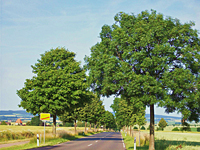 Straße von Wolfenbüttel nach Atzum